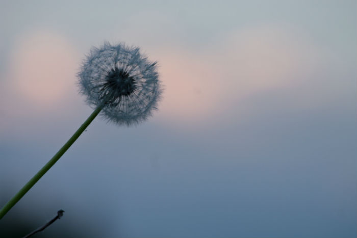 在嘉興專升本什么時(shí)候能報(bào)名和在哪兒報(bào)名比較靠譜？