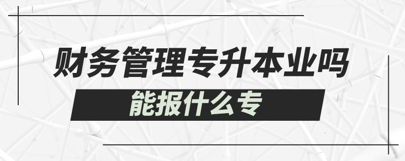 財務管理專升本能報什么專業(yè)嗎