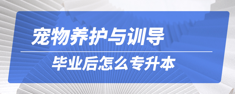 寵物養(yǎng)護(hù)與訓(xùn)導(dǎo)畢業(yè)后怎么專(zhuān)升本