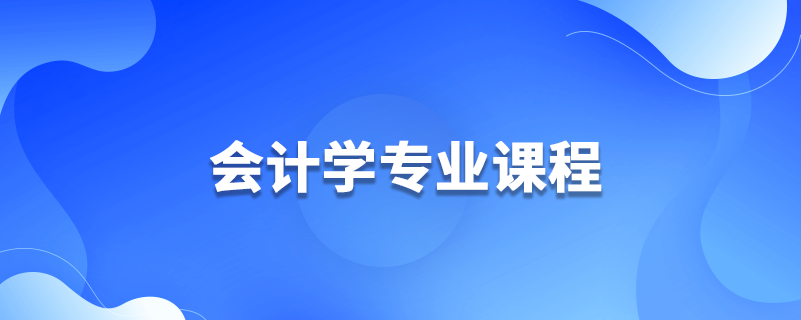 會計學專業(yè)課程