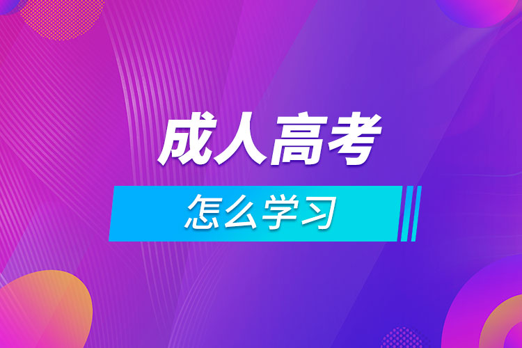 成人高考怎么學習