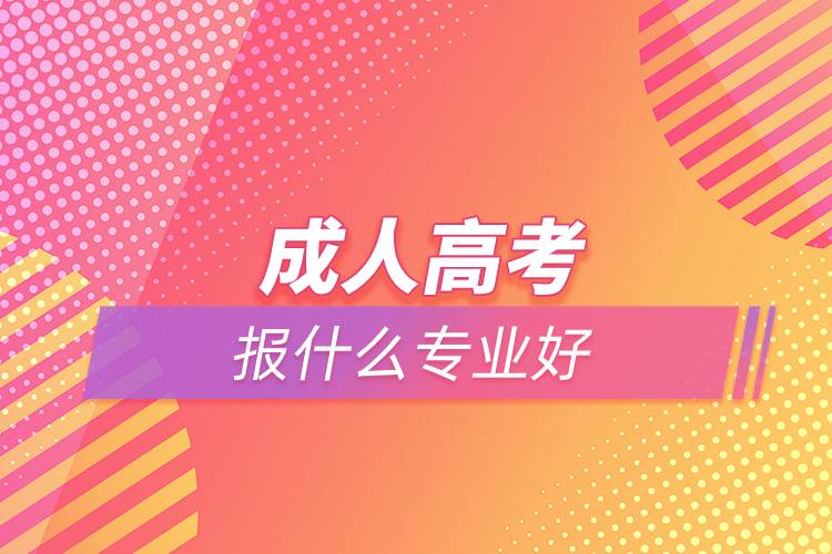 成人高考報什么專業(yè)好