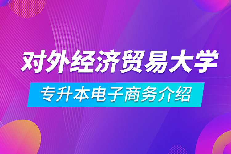 對外經(jīng)濟貿(mào)易大學(xué)專升本電子商務(wù)介紹