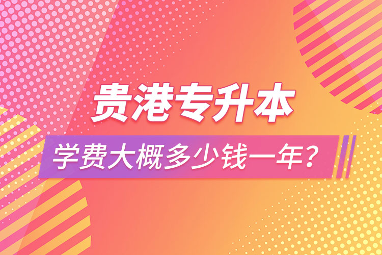 貴港專升本學(xué)費大概多少錢一年？