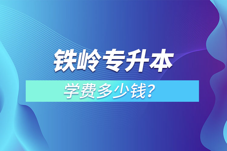 鐵嶺專升本學(xué)費(fèi)大概多少錢(qián)一年？