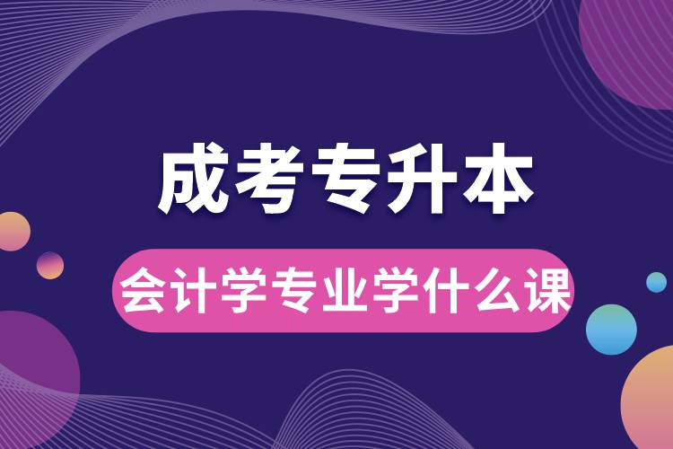 成考專升本會計學專業(yè)學什么課.jpg