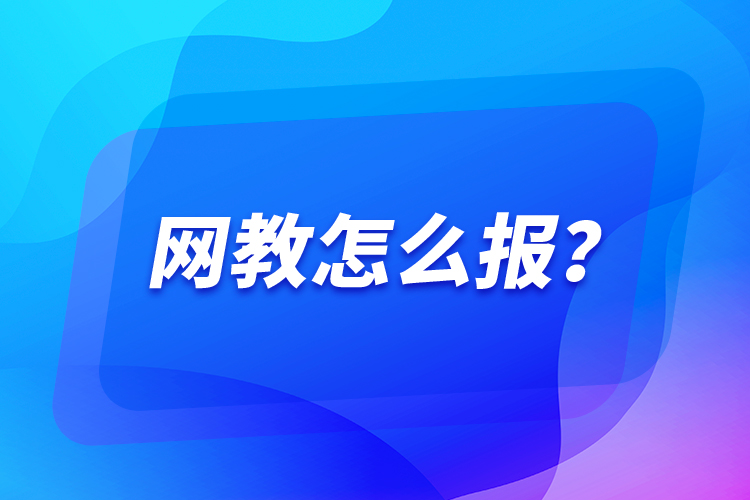 網(wǎng)教怎么報(bào)？