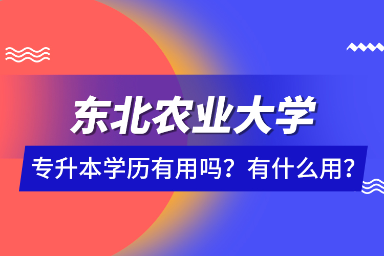 東北農(nóng)業(yè)大學(xué)專升本學(xué)歷有用嗎？有什么用？