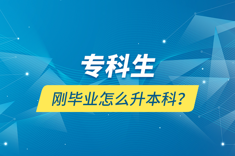 專科生剛畢業(yè)怎么升本科？