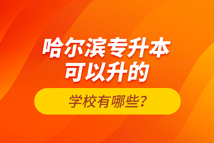 哈爾濱專升本可以升的學校有哪些？