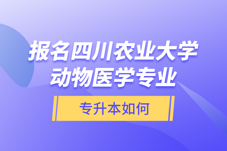 報(bào)名四川農(nóng)業(yè)大學(xué)動(dòng)物醫(yī)學(xué)專業(yè)專升本如何？