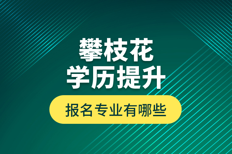 攀枝花學(xué)歷提升報名專業(yè)有哪些？