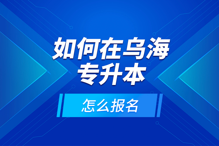 如何在烏海專升本，怎么報(bào)名？